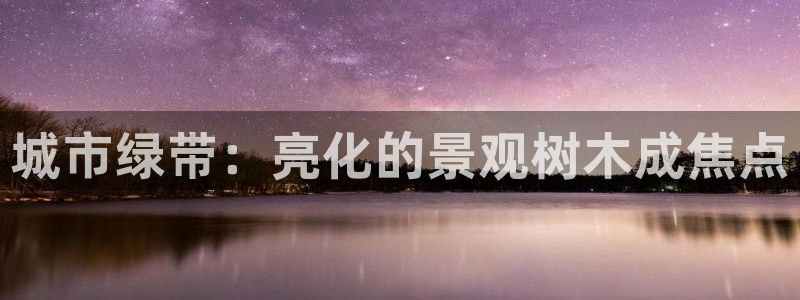 摩根国际娱乐宝