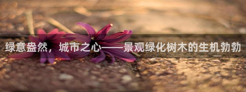 摩根国际娱乐宝官网下载