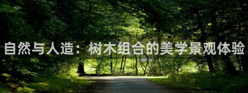 摩根娱乐官网下载