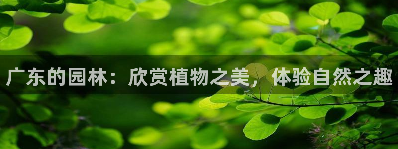 摩根娱乐宝代理