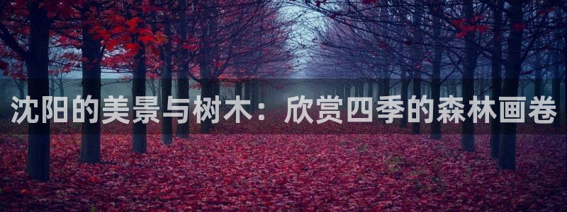 摩根娱乐挂机项目有哪些