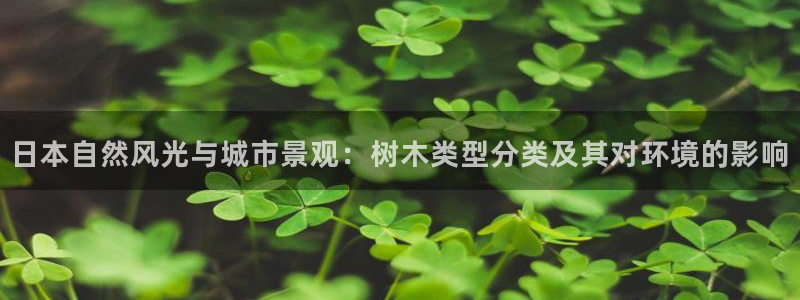 摩根娱乐宝怎么赚钱的