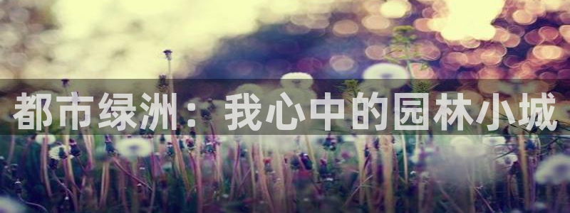 摩根大通投资娱乐公司