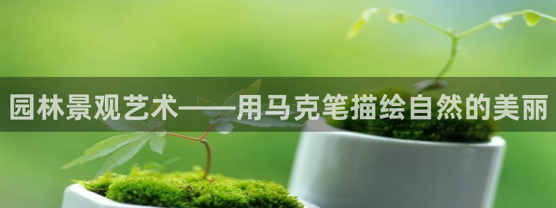 摩根娱乐主管