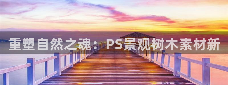 厦门摩根会娱乐