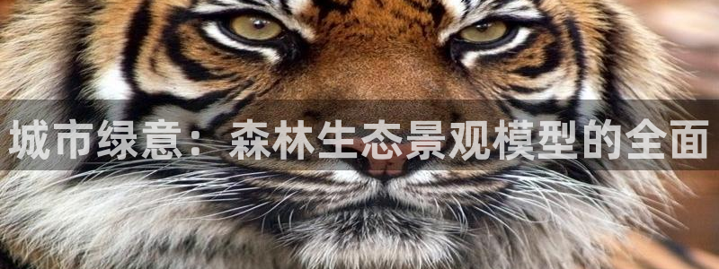 芜湖摩根一百有哪些娱乐