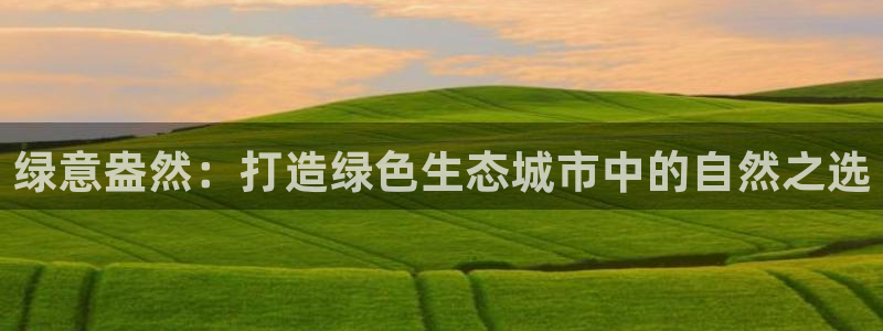 摩根娱乐宝教程