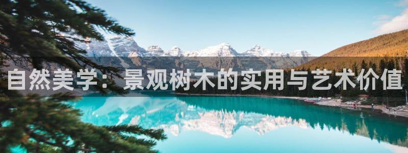 摩根娱乐宝-