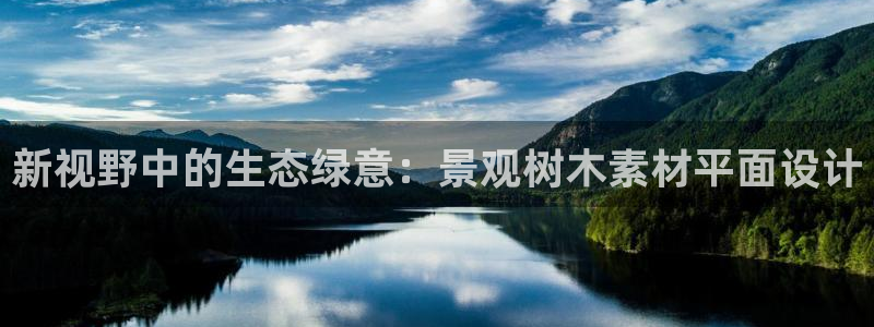 摩根娱乐宝怎么赚钱