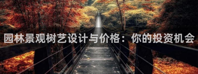 厦门摩根会娱乐：园林景观树艺设计与价格：你的投资机会