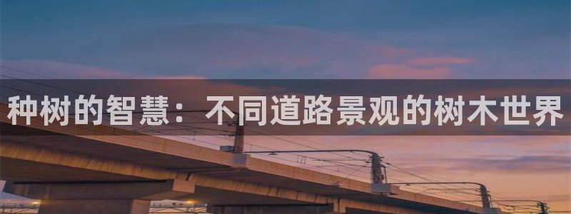 主角是摩根家族的娱乐文