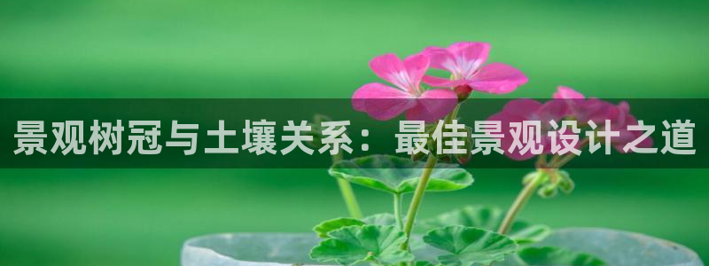 摩根娱乐骗局