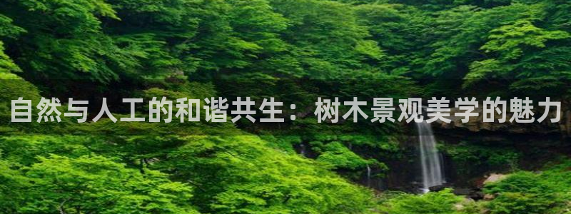 义务摩根娱乐会所