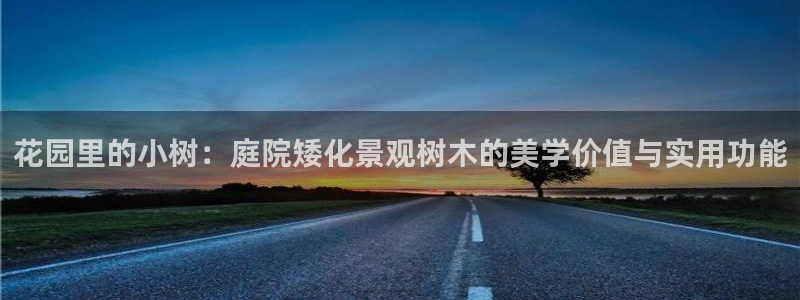 摩根娱乐包是什么