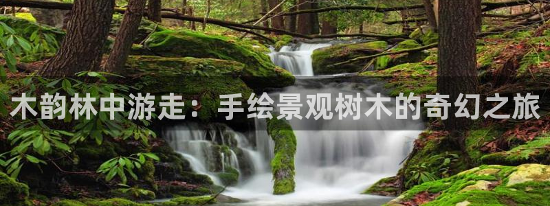 摩根士丹利娱乐银行