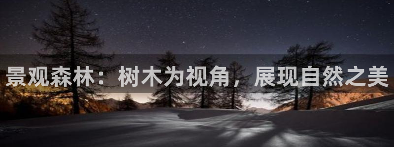 摩根娱乐注册平台：景观森林：树木为视角，展现自然之美
