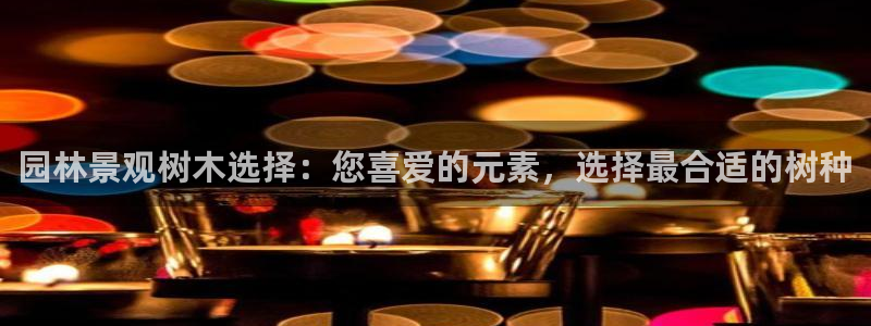 摩根娱乐黑台