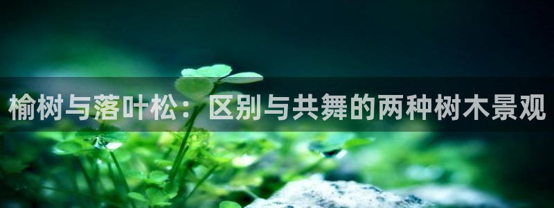 临平摩根国际娱乐会所
