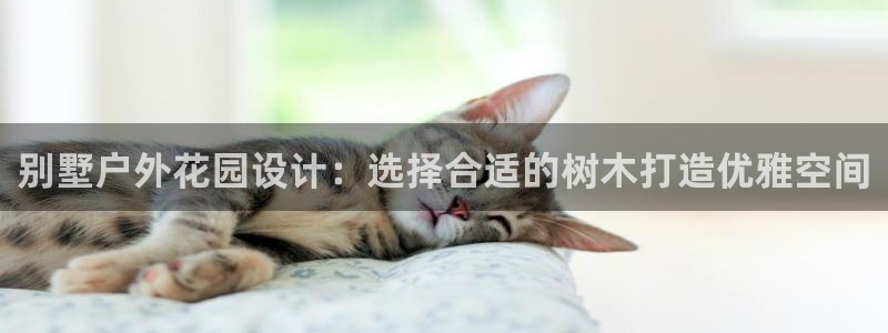 义乌摩根娱乐会所小费