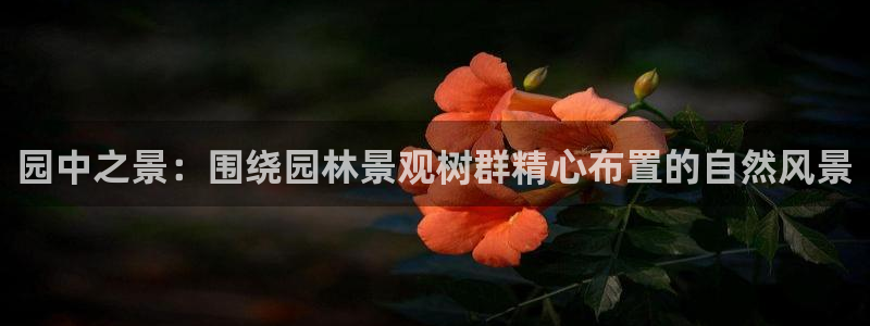摩根娱乐宝机构代码：园中之景：围绕园林景观树群精心布置的自然风景