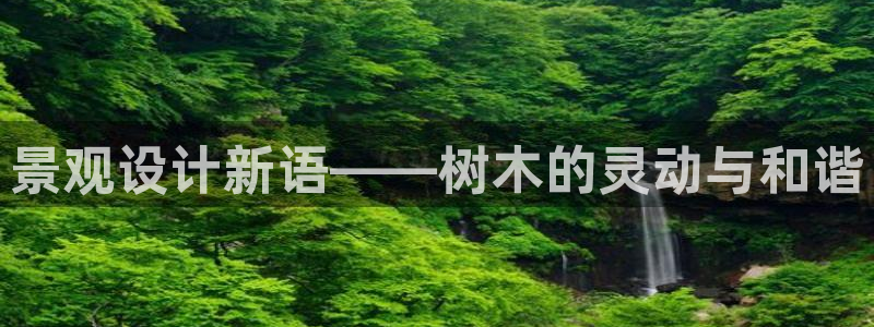 芜湖摩根一百有哪些娱乐