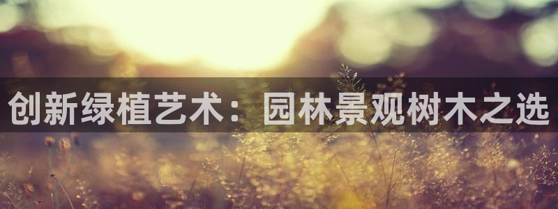 摩根大通黄金娱乐