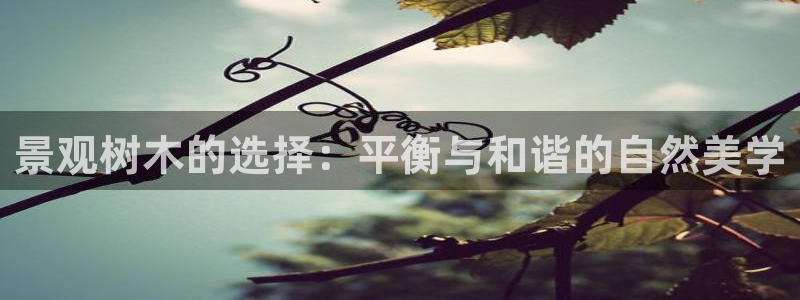 白宫摩根娱乐地址：景观树木的选择：平衡与和谐的自然美学