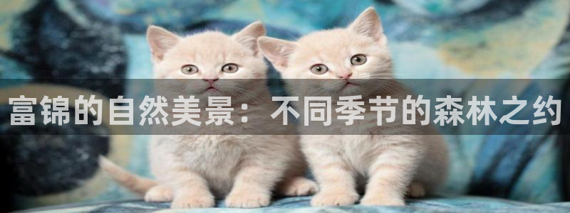 长春拉图摩根附近娱乐