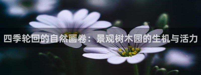 摩根娱乐宝是诈骗吗