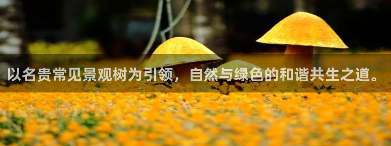 摩根娱乐宝怎么赚钱的
