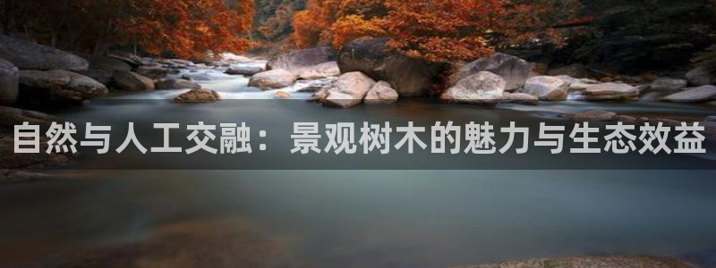 摩根大通会员买金沙娱乐