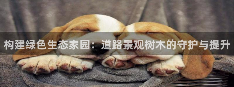 摩根娱乐宝杀单吗