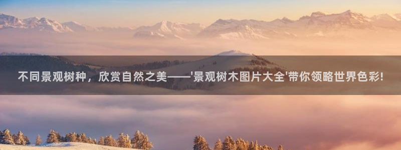 义乌摩根娱乐招聘少爷