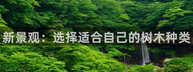 摩根娱乐 总s管50015