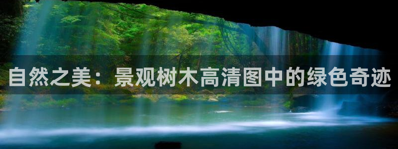 摩根中央公园娱乐