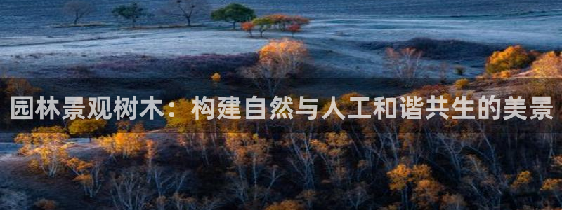 杭州市摩根国际娱乐会所