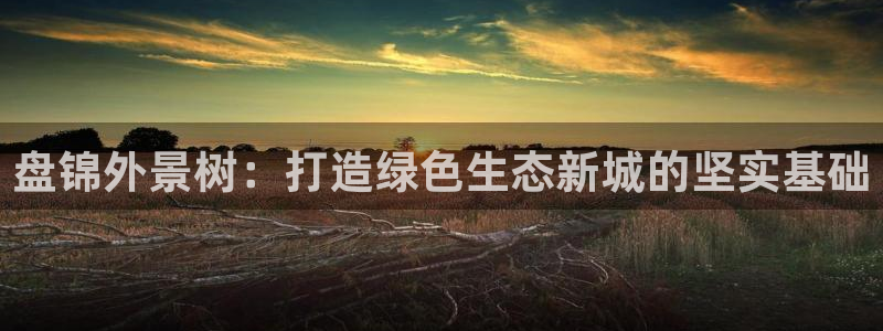 摩根娱乐视频大全