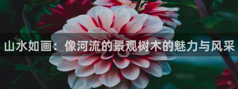 摩根娱乐这个平台怎么样