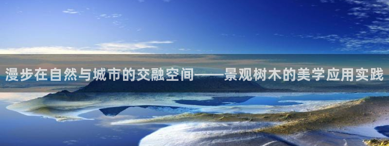 摩根娱乐1老H板50820