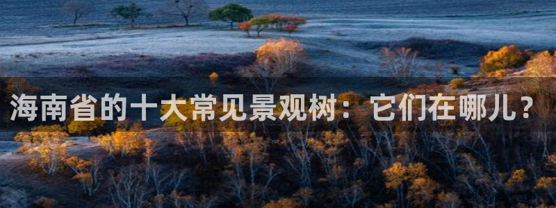 义乌市摩根娱乐会所招聘