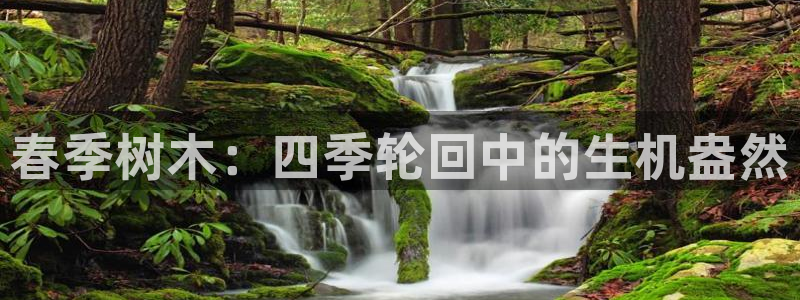 摩根娱乐宝骗了多少人