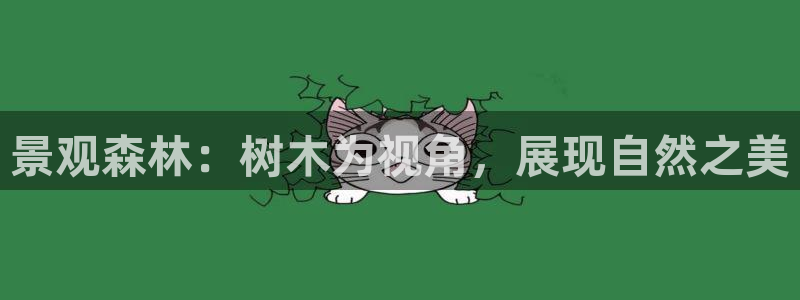 泉州摩根会娱乐邮箱：景观森林：树木为视角，展现自然之美