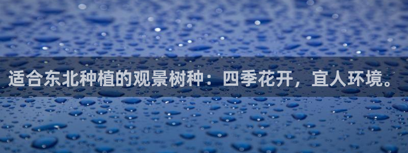 摩根娱乐二三事