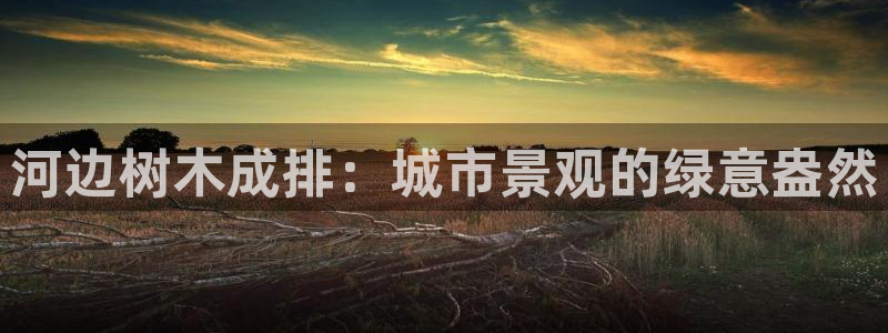 嘉兴摩根大饭店 娱乐