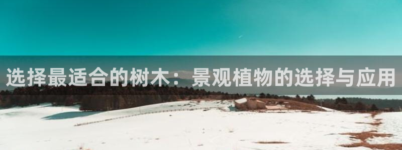 摩根娱乐宝教程