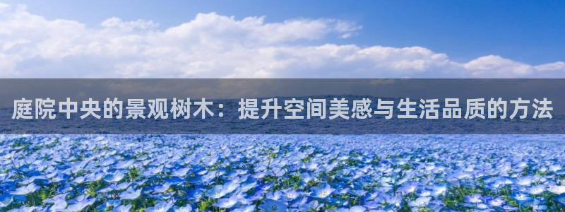 摩根会娱乐会所