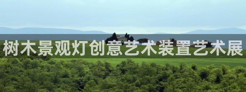 摩根娱乐平台：树木景观灯创意艺术装置艺术展
