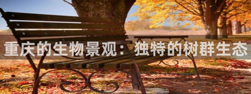 摩根娱乐宝是骗局