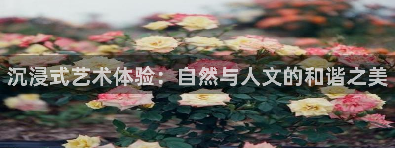 摩根娱乐云挂机是真的嘛