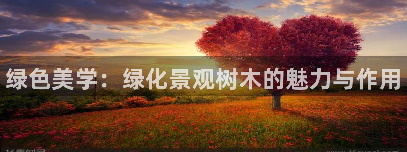 摩根娱乐公司：绿色美学：绿化景观树木的魅力与作用